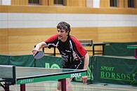 IMG 7623